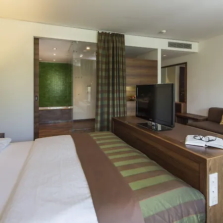 Asia Hotel & Spa Leoben-2